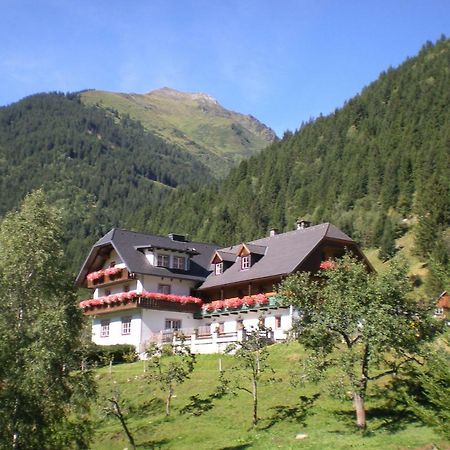 Biobauernhof Spieszschweiger Villa Sankt Nikolai im Sölktal Dış mekan fotoğraf