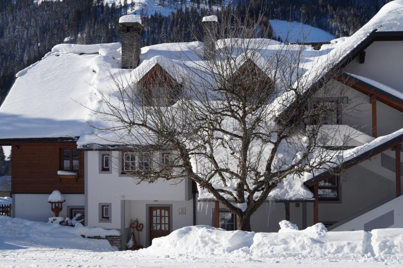 Biobauernhof Spieszschweiger Villa Sankt Nikolai im Sölktal Dış mekan fotoğraf