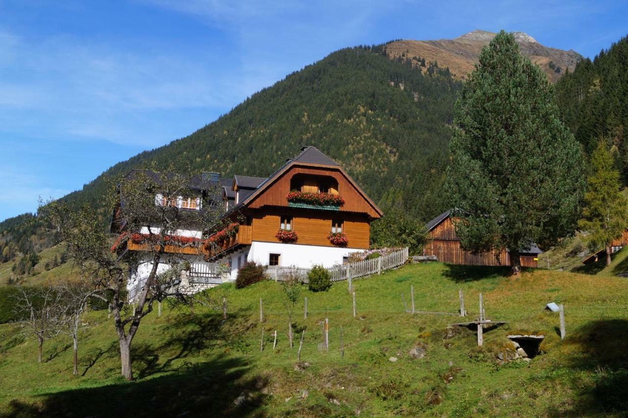 Biobauernhof Spieszschweiger Villa Sankt Nikolai im Sölktal Dış mekan fotoğraf
