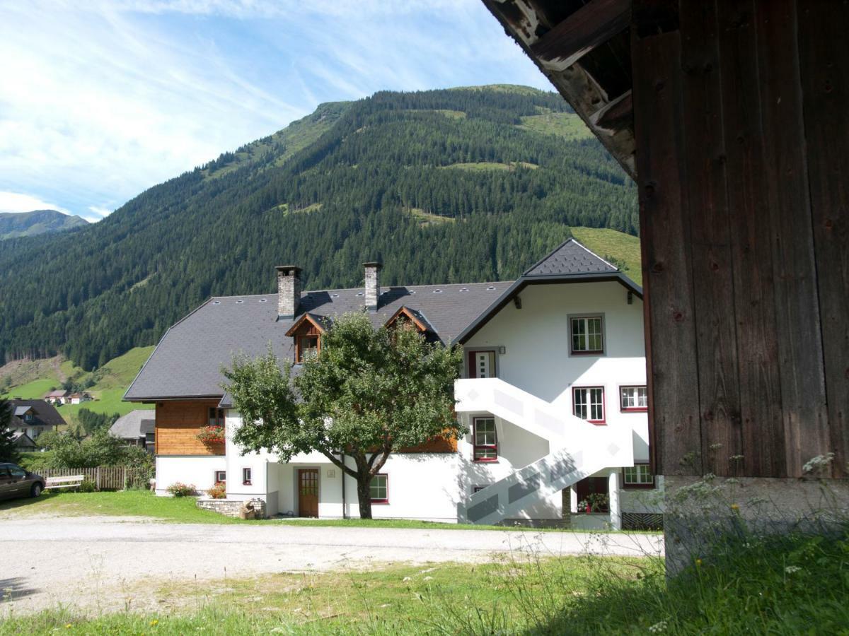 Biobauernhof Spieszschweiger Villa Sankt Nikolai im Sölktal Dış mekan fotoğraf