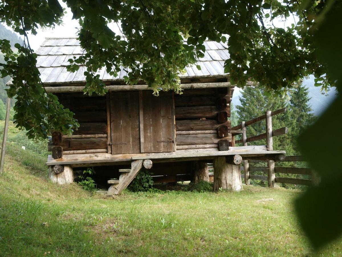 Biobauernhof Spieszschweiger Villa Sankt Nikolai im Sölktal Dış mekan fotoğraf