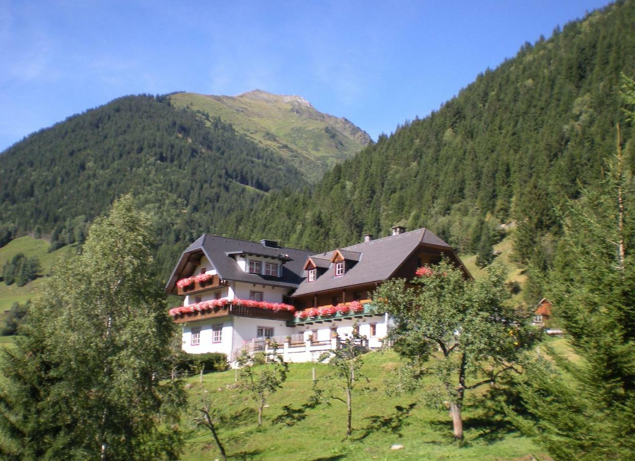 Biobauernhof Spieszschweiger Villa Sankt Nikolai im Sölktal Dış mekan fotoğraf
