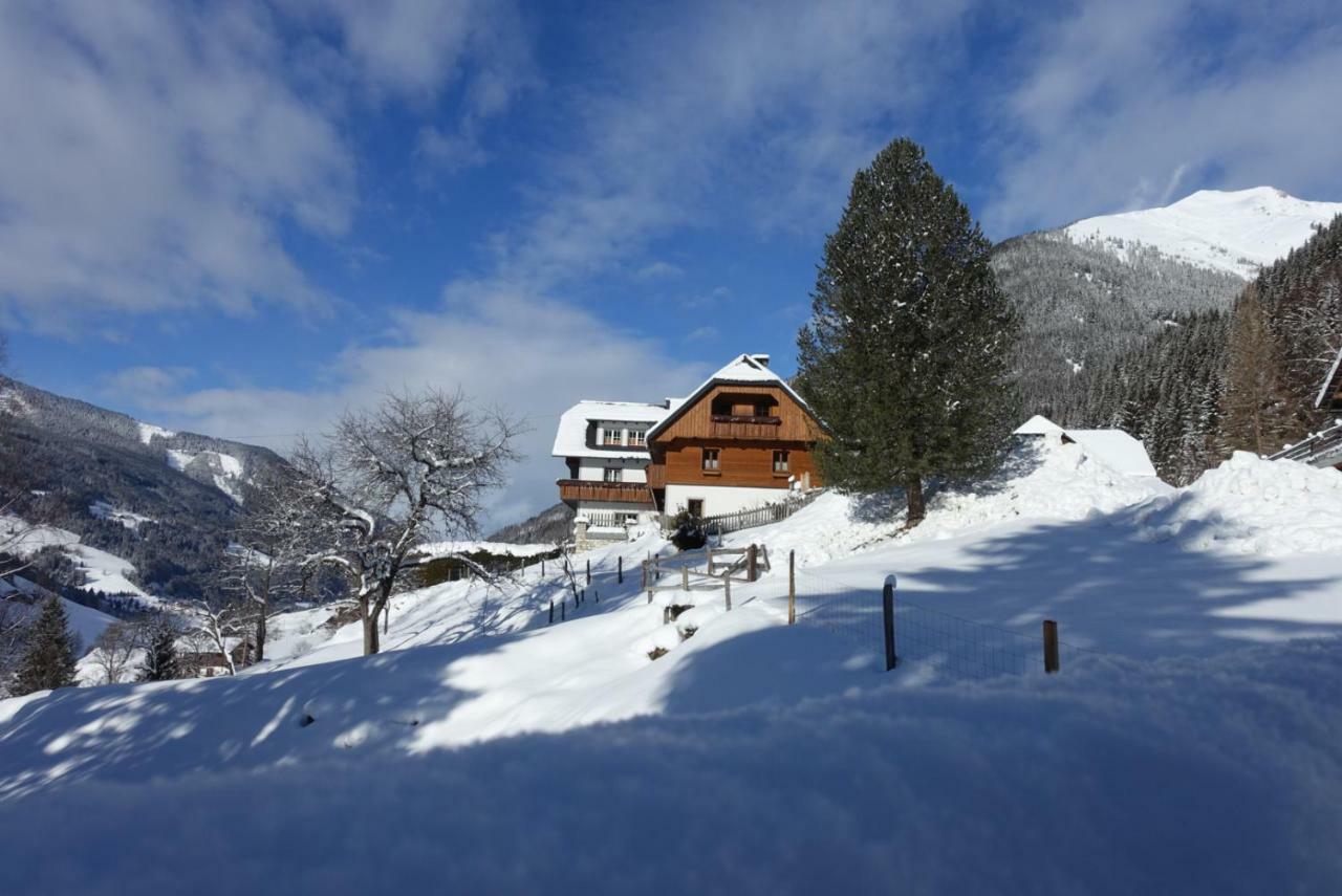 Biobauernhof Spieszschweiger Villa Sankt Nikolai im Sölktal Dış mekan fotoğraf